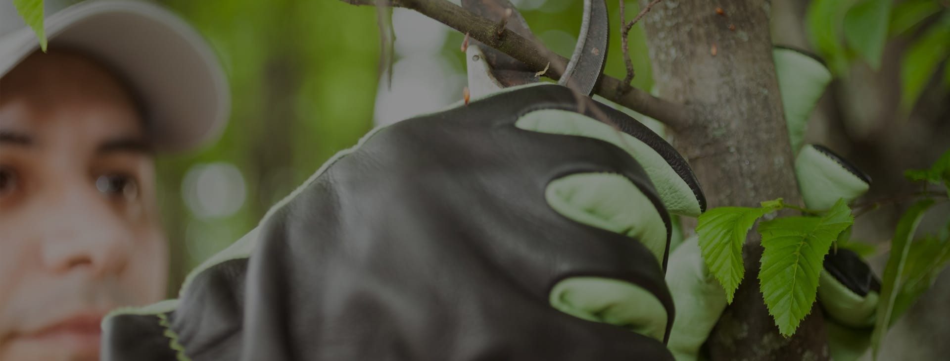 Wide Range of Tree Trimming, 
Landscaping & Gardening Supplies